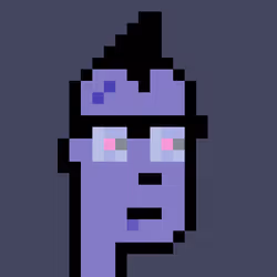 FID Punk #298897