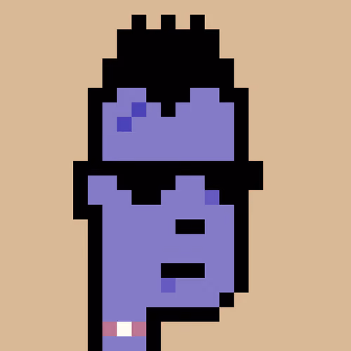 FID Punk #255827