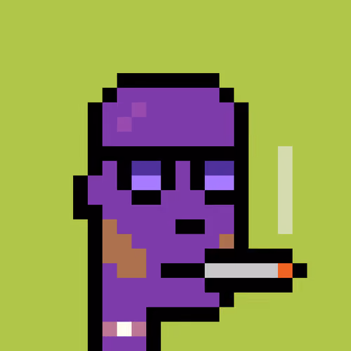 FID Punk #3338