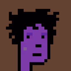 FID Punk #508283