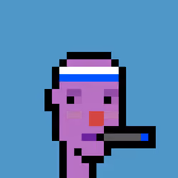 FID Punk #1380168