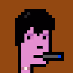 FID Punk #300022