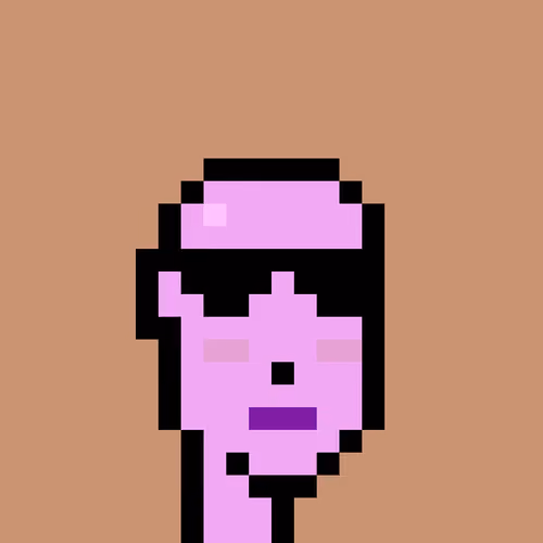 FID Punk #273941