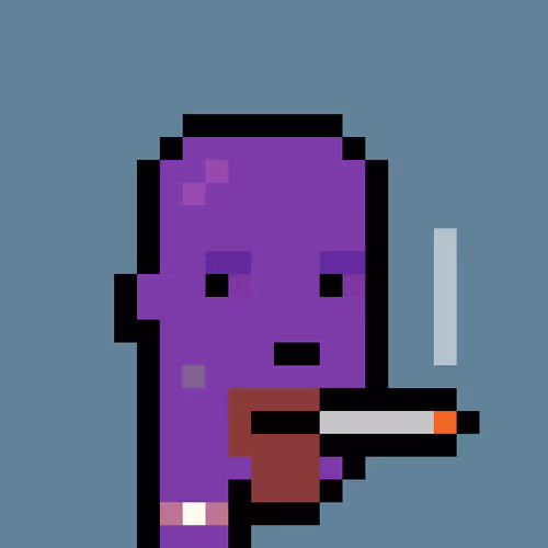FID Punk #325904