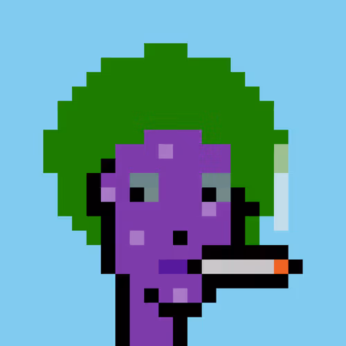 FID Punk #262656