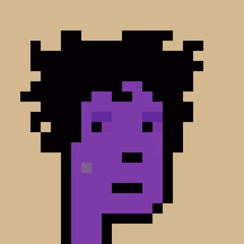 FID Punk #1118370