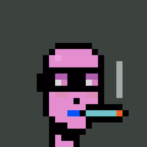 FID Punk #18885