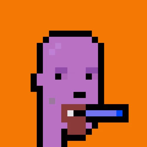 FID Punk #8481