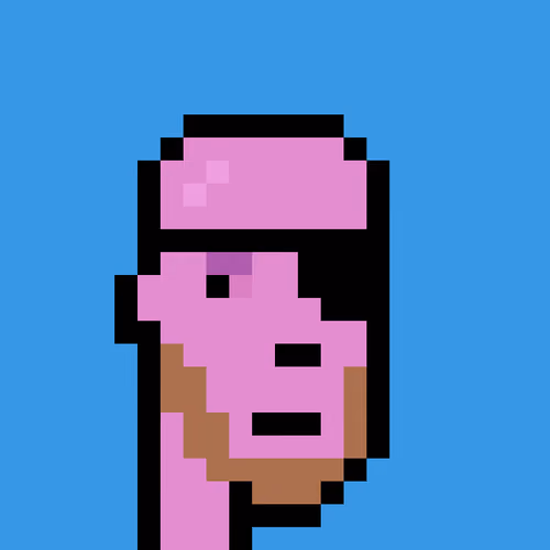 FID Punk #509017