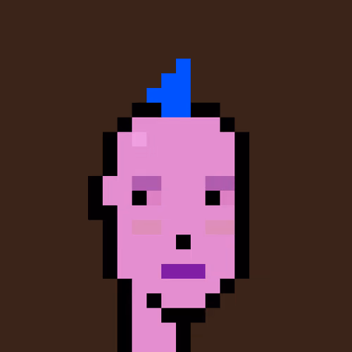 FID Punk #244803