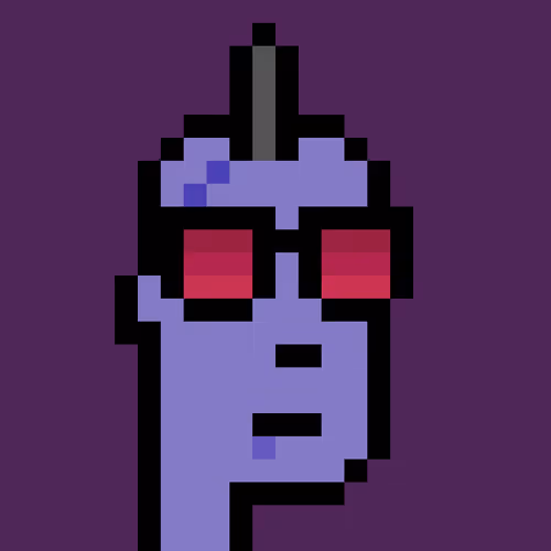 FID Punk #992480