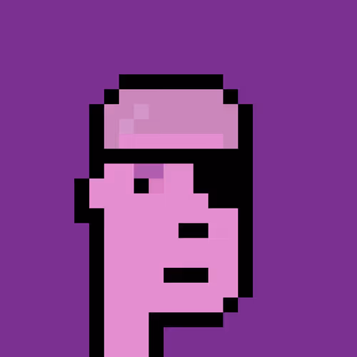 FID Punk #852216