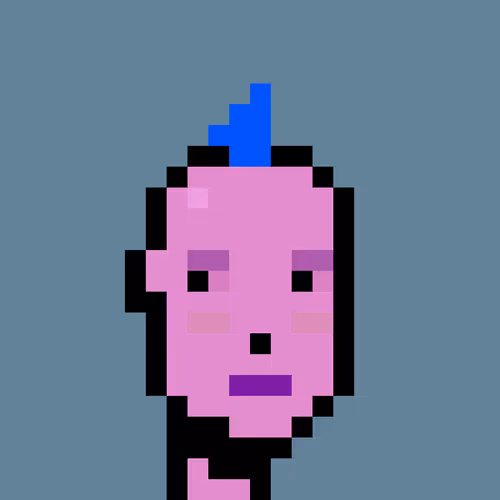 FID Punk #262063