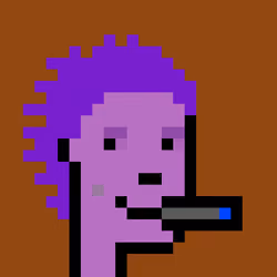 FID Punk #13643