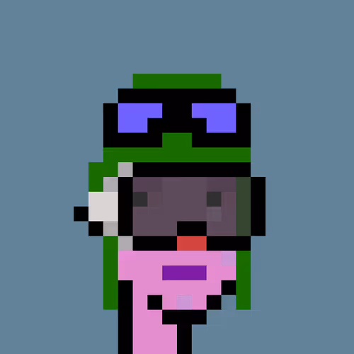 FID Punk #289091