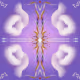 Purple #613
