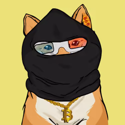Shiba Wealth #206