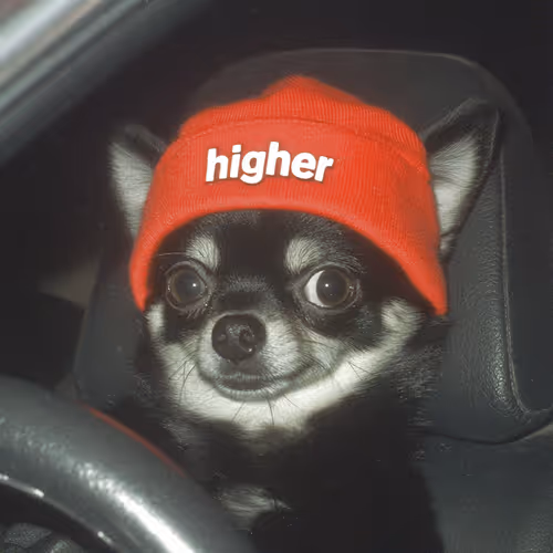 Hbhbhb 1