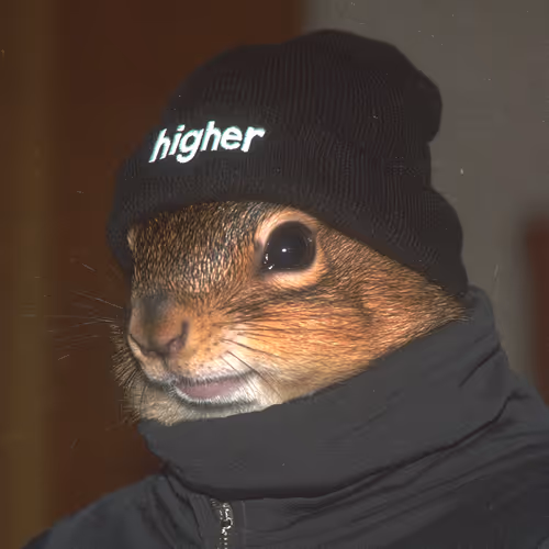 Hbhbhb 1