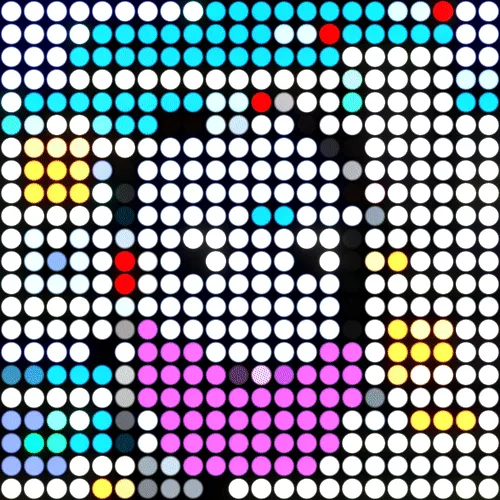 Item #900 Media