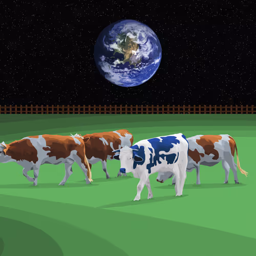 Art De Cow