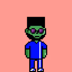 NPC #133