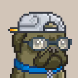 Pug Society #797
