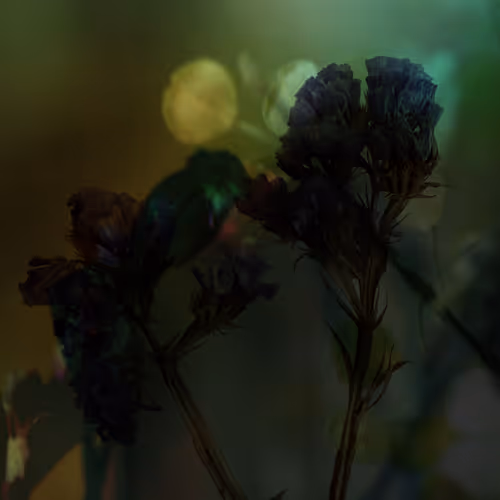Quiet Slumber #11
