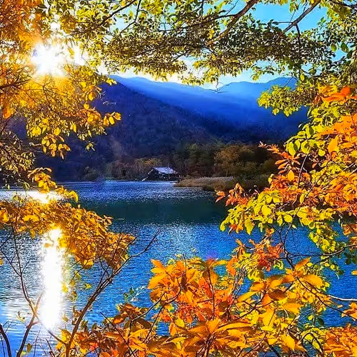 Nature 2998