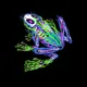 Blusy Frog