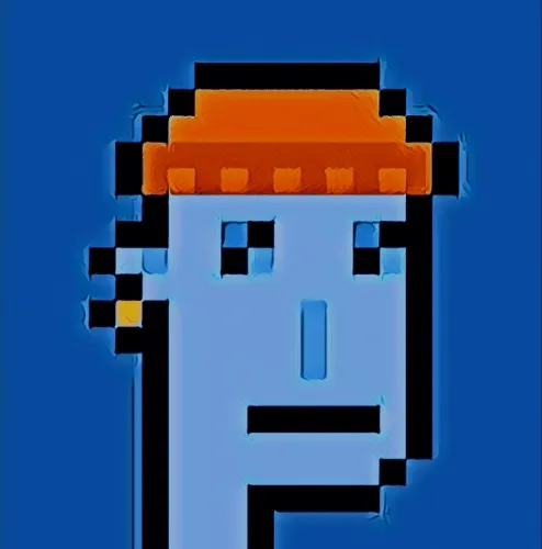 WONDERFUL DREAMY PUNK