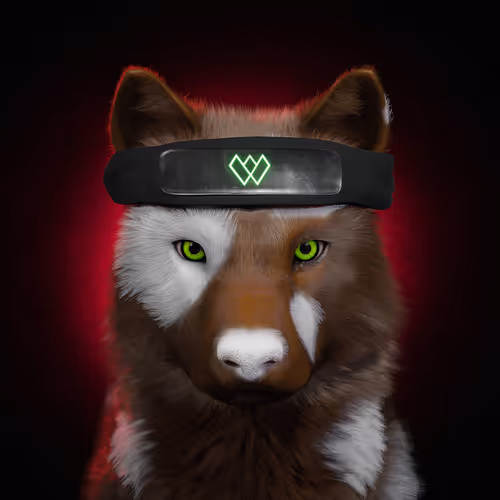 Item #42057633878325859649612155402376072723689458190131298236414296570833760426957 Media