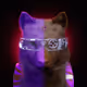 52082596156978337050552644322153502737065389110336812048551864245184999315451