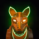 Wolf #78