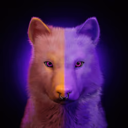Wolf #277