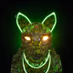 Wolf #136