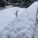 Alaska Summer