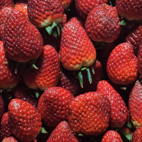 Living That Sweet Strawberry Life