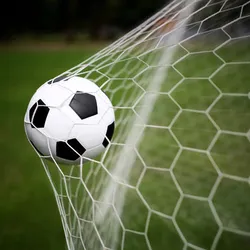 GOAL #10
