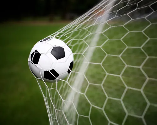 GOAL #18