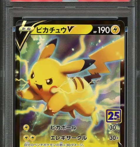 13248