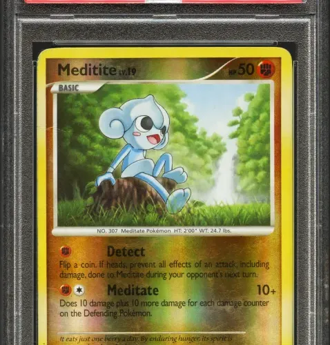14566