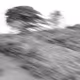 Scary wind