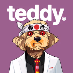 Teddy #219  Newquay Ian