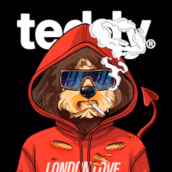 Teddy #376  Warrington Freddie