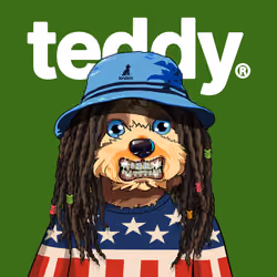 Teddy #210  Miner Barry