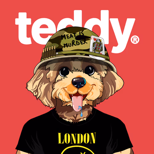 Teddy #073  Cardiff Jed