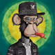 MonkeyNo9