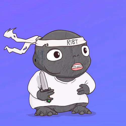 Ribt 1