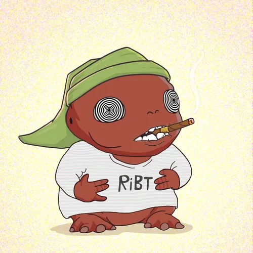 Ribt 1